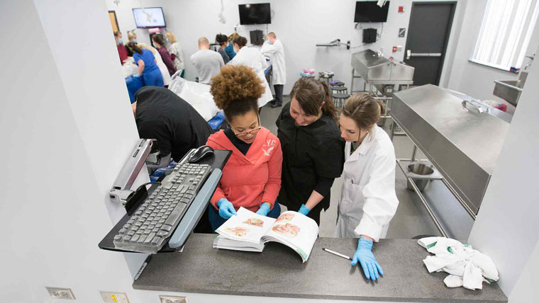 Students in a class lab in McQueary Family Health Sciences Hall.