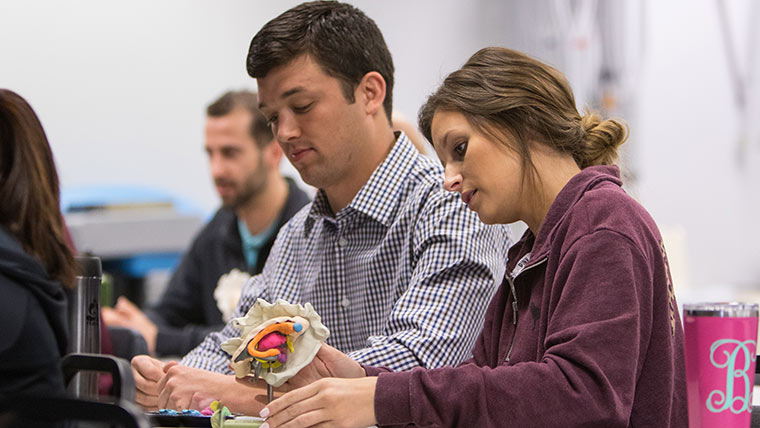 Students examining body part model in class.