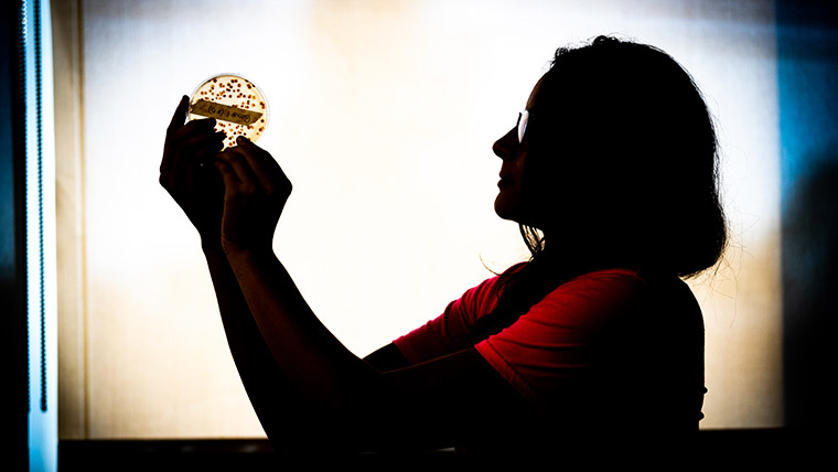 Silhouette of student looking at petri dish.